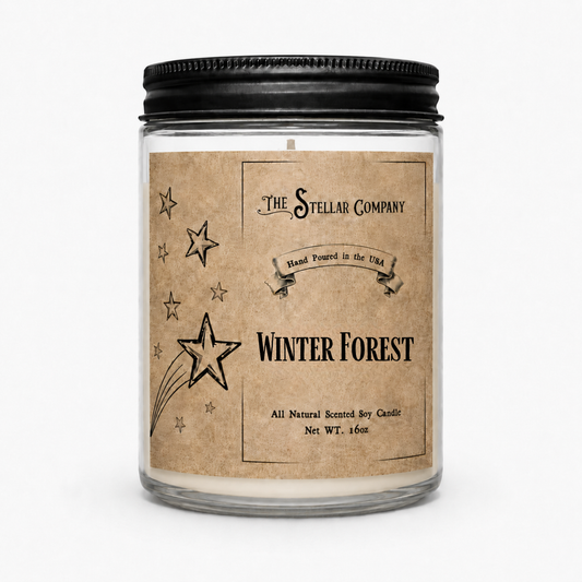 Winter Forest