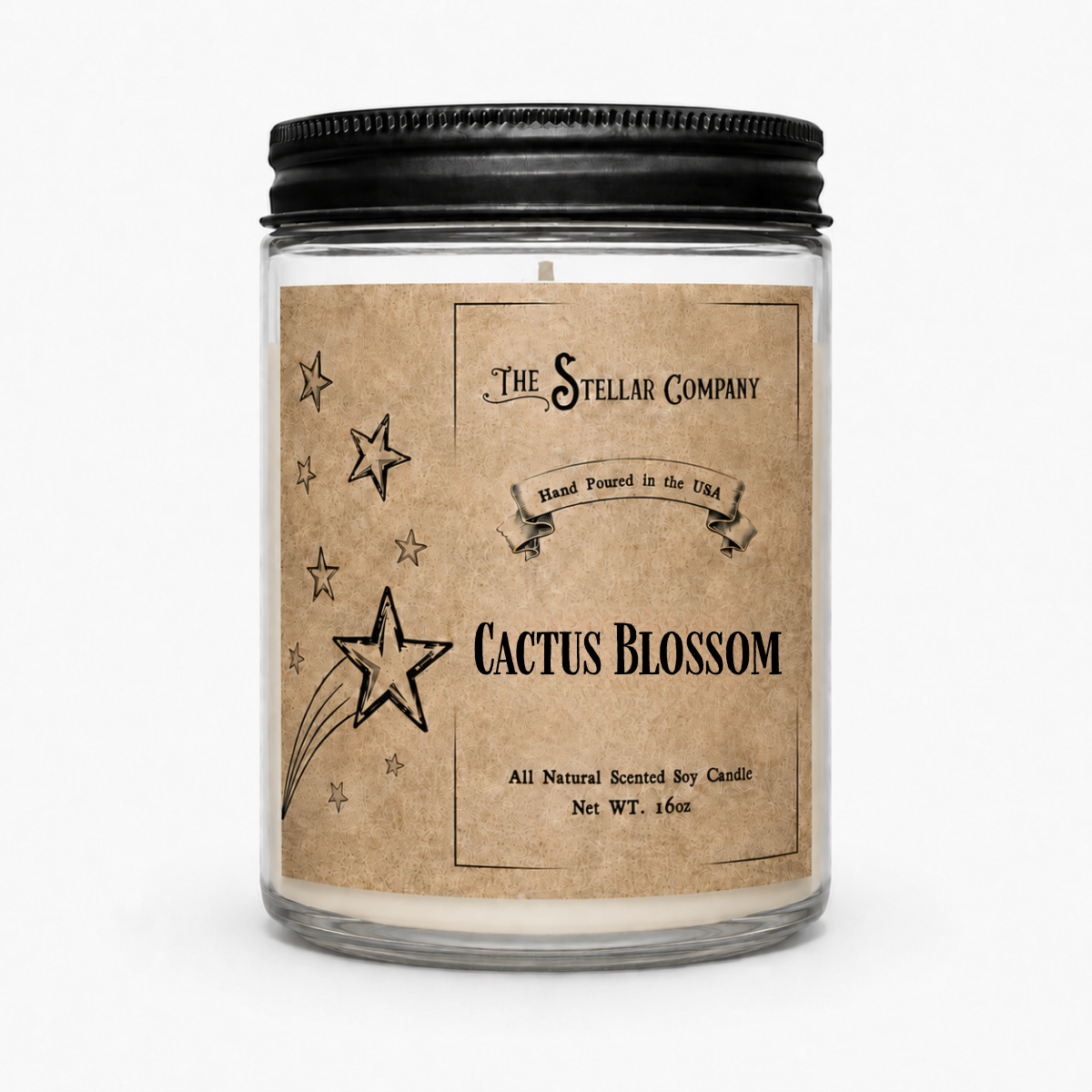 Cactus Blossom