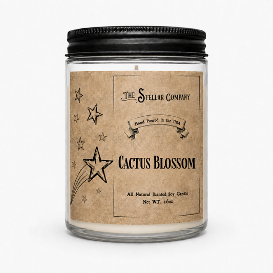 Cactus Blossom